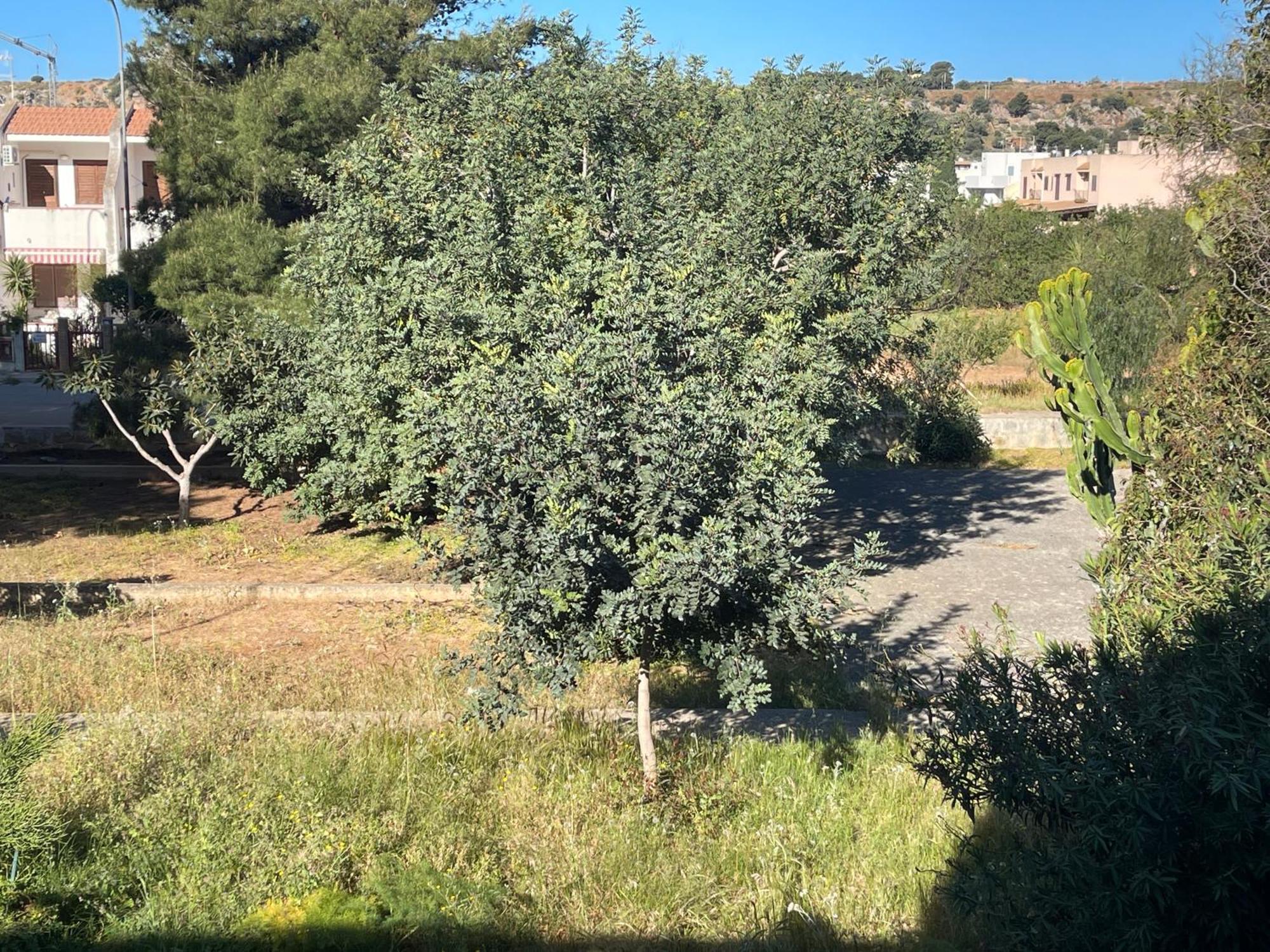 Villa Aurora E Andrea San Vito Lo Capo Exterior foto